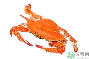 懷孕期間能吃螃蟹嗎？吃螃蟹會影響懷孕嗎？