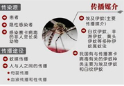 寨卡病毒對兒童的影響有哪些？寶寶如何避免及預(yù)防？