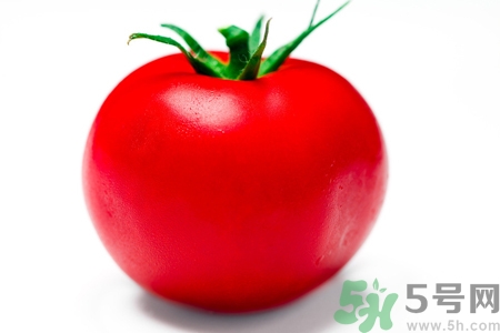 番茄和西紅柿有什么區(qū)別？番茄和西紅柿一樣嗎？