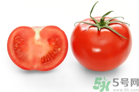 番茄和西紅柿有什么區(qū)別？番茄和西紅柿一樣嗎？