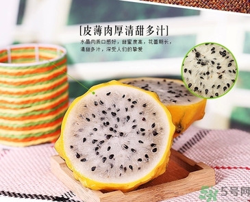 黃龍果多少錢一斤？黃龍果的功效作用