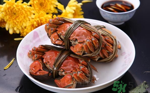 海蟹什么時候最肥？海蟹什么時候吃最好？