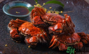 陽澄湖大閘蟹死了還能吃嗎？陽澄湖大閘蟹死了為什么不能吃？