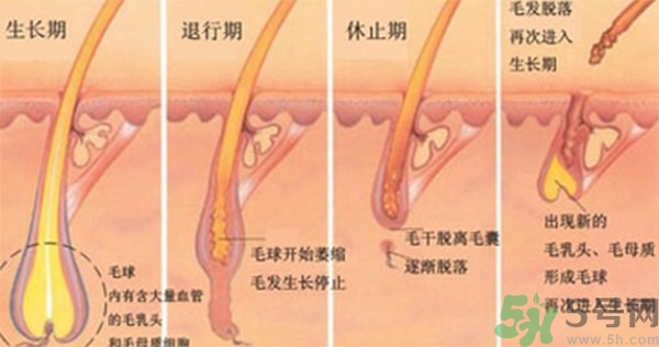 紋眉后要補色嗎？紋眉后多久可以補色？