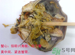 梭子蟹哪些部位不能吃？梭子蟹哪些人不能吃？