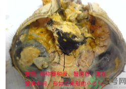 梭子蟹哪些部位不能吃？梭子蟹哪些人不能吃？