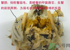 梭子蟹哪些部位不能吃？梭子蟹哪些人不能吃？