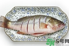 秋季適合吃什么魚？秋季吃魚的好處？