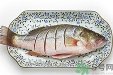 如何挑選新鮮魚？怎樣吃到不被污染的魚？