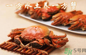 盤錦河蟹和陽澄湖大閘蟹的區(qū)別？盤錦河蟹和陽澄湖大閘蟹哪個(gè)比較好吃？
