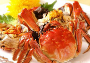 陽(yáng)澄湖大閘蟹和太湖大閘蟹的區(qū)別？陽(yáng)澄湖大閘蟹好還是太湖大閘蟹好