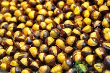 吃栗子會(huì)胖嗎？栗子吃多了會(huì)怎樣？