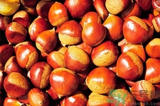 吃栗子會(huì)胖嗎？栗子吃多了會(huì)怎樣？