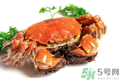 陽澄湖大閘蟹是河蟹嗎？陽澄湖大閘蟹和河蟹的區(qū)別