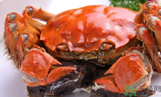 陽澄湖大閘蟹好吃嗎？陽澄湖大閘蟹為什么好吃？