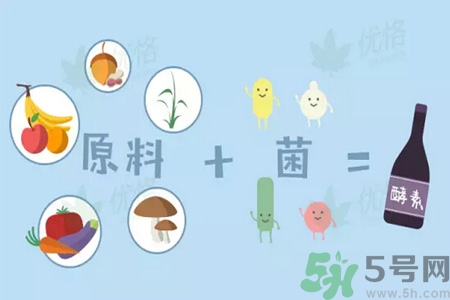 酵素是什么？吃酵素減肥有效果嗎？