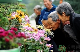 重陽節(jié)是陰歷還是陽歷？重陽節(jié)是什么意思？