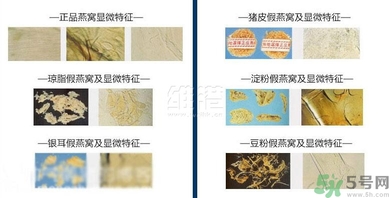去香港買燕窩哪里好？香港哪里買燕窩比較好正宗？