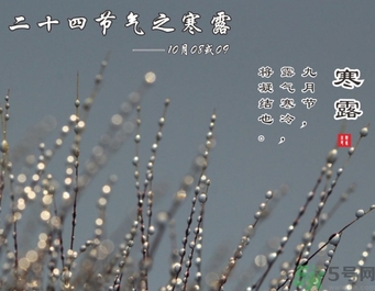 寒露是什么意思？寒露是幾月幾日