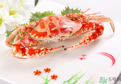 梭子蟹和花蟹的區(qū)別？梭子蟹和花蟹哪個好吃？