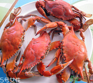 梭子蟹和飛蟹的區(qū)別？飛蟹是梭子蟹嗎？