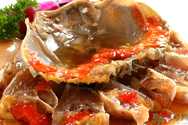 膏蟹是河蟹還是海蟹？膏蟹是什么蟹？