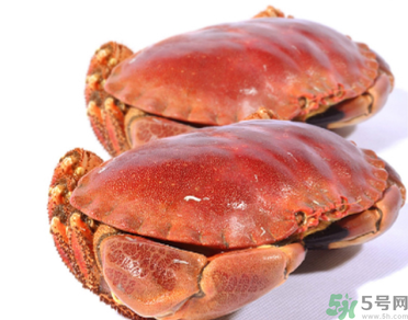 面包蟹多少錢一斤？面包蟹多少錢一只？