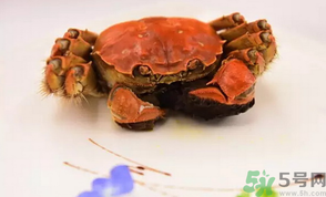 珍寶蟹和面包蟹的區(qū)別？珍寶蟹和面包蟹哪個好吃？