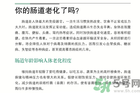 引起腸道老化的原因是什么？四種人腸道老化快