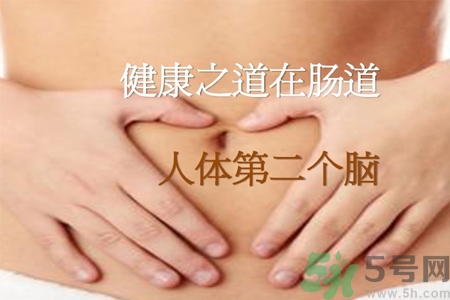 引起腸道老化的原因是什么？四種人腸道老化快