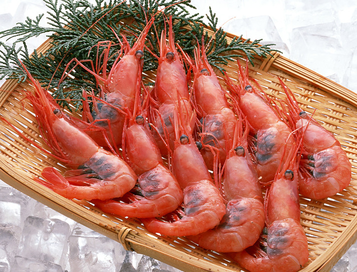 海蝦煮多長時間熟？海蝦怎么煮？