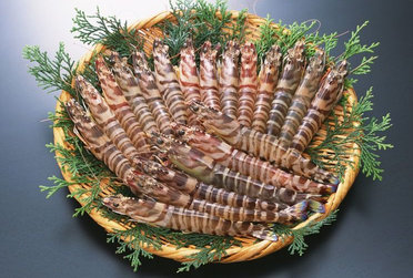 海蝦煮多長時間熟？海蝦怎么煮？