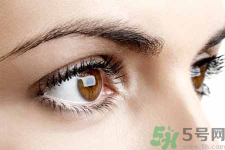 ?眉毛上可以涂生發(fā)液?jiǎn)?？眉毛涂生發(fā)水有副作用嗎？