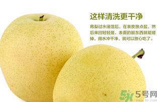 皇冠梨是雪梨嗎？皇冠梨和雪梨的區(qū)別