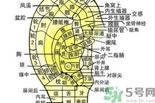 每天揉耳朵有什么好處？?揉耳朵的正確方法是什么？