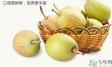 孕婦能吃香梨嗎？香梨孕婦可以吃嗎？