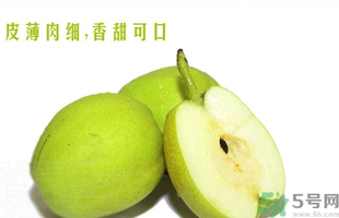 孕婦能吃香梨嗎？香梨孕婦可以吃嗎？