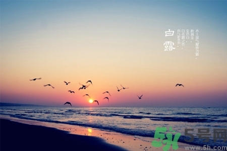 白露節(jié)吃什么？白露節(jié)的傳統(tǒng)美食有哪些？