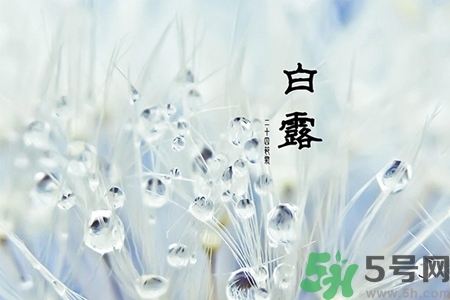 白露節(jié)吃什么？白露節(jié)的傳統(tǒng)美食有哪些？