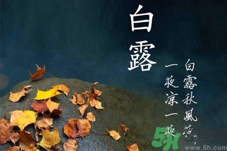 白露節(jié)吃什么？白露節(jié)的傳統(tǒng)美食有哪些？