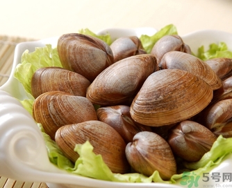 蛤蜊是發(fā)物嗎？手術(shù)后可以吃蛤蜊嗎？