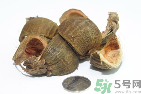 檳榔致癌嗎？檳榔對身體有什么影響嗎？