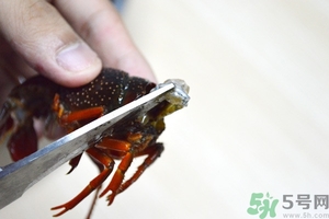 活蝦怎么處理干凈蝦線？活蝦怎么去蝦線？