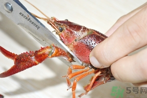 活蝦怎么處理干凈蝦線？活蝦怎么去蝦線？