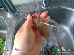 活蝦怎么處理干凈蝦線？活蝦怎么去蝦線？