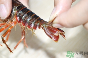 活蝦怎么處理干凈蝦線？活蝦怎么去蝦線？