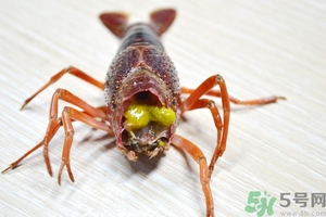 活蝦怎么處理干凈蝦線？活蝦怎么去蝦線？