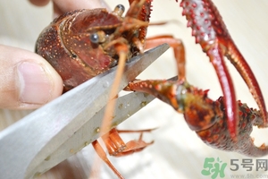 活蝦怎么處理干凈蝦線？活蝦怎么去蝦線？