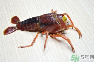 活蝦怎么處理干凈蝦線？活蝦怎么去蝦線？