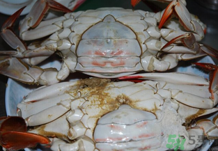 海蟹蒸多長(zhǎng)時(shí)間？海蟹蒸多長(zhǎng)時(shí)間最好吃？